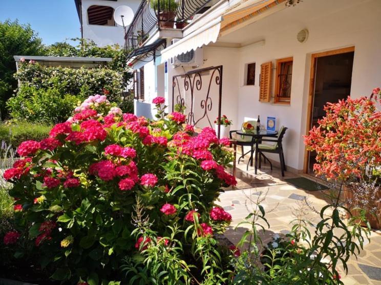 Apartmani Rita Studio Novigrad  ภายนอก รูปภาพ